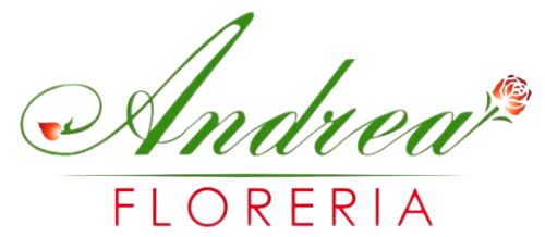 floreriaandrea